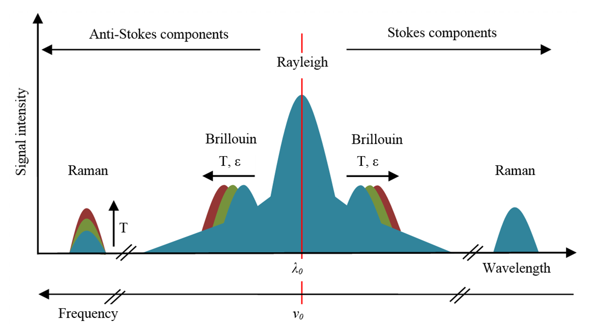 Rozpraszanie Ramana i Brillouina ze wskazanym wpływem temperatury