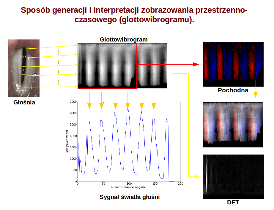 B.Kopczyński - praca doktorska