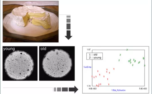 Przykładowe obrazy MRI przekrojów serów dojrzałych (old) i niedojrzałych (young) dla zobrazowania PDW