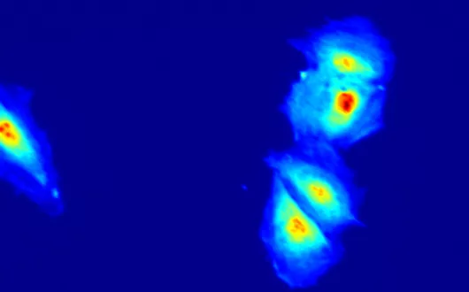 Analiza Tekstury Obrazu