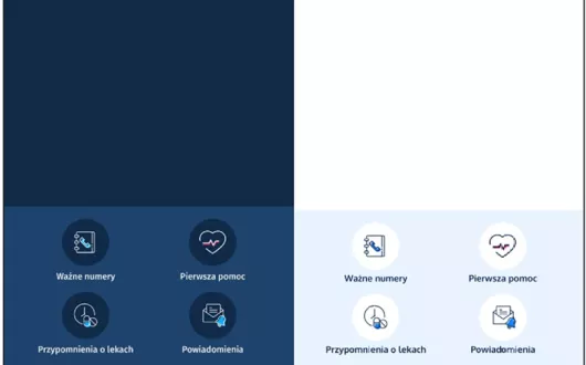 Analiza dostępności cyfrowej wybranych polskich portali rządowych dla osób z niepełnosprawnościami