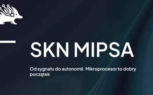 SKN MIPSA