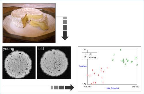 Przykładowe obrazy MRI przekrojów serów dojrzałych (old) i niedojrzałych (young) dla zobrazowania PDW