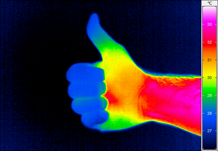 Zdjęcie z kamery termowizyjnej przedstawiające dłoń w kształcie OK