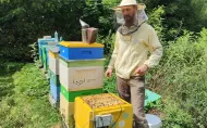 Jak połączyć IoT, sztuczną inteligencję i dane z rzeczywistych pasiek, aby lepiej rozumieć stan ula?
